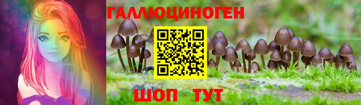 Галлюциногенные грибы Psilocybine cubensis  Вход с VPN  дарнет шоп  Ейск 