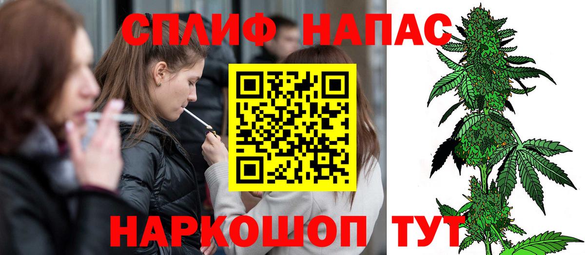 Бошки Шишки MAZAR Ейск